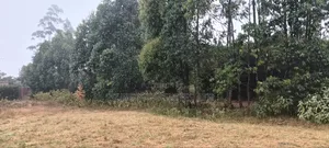 50x100 Plot in Thigio, Lusingetti