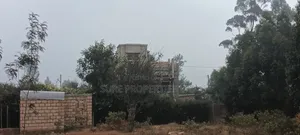 50x100 Plot in Thigio, Lusingetti