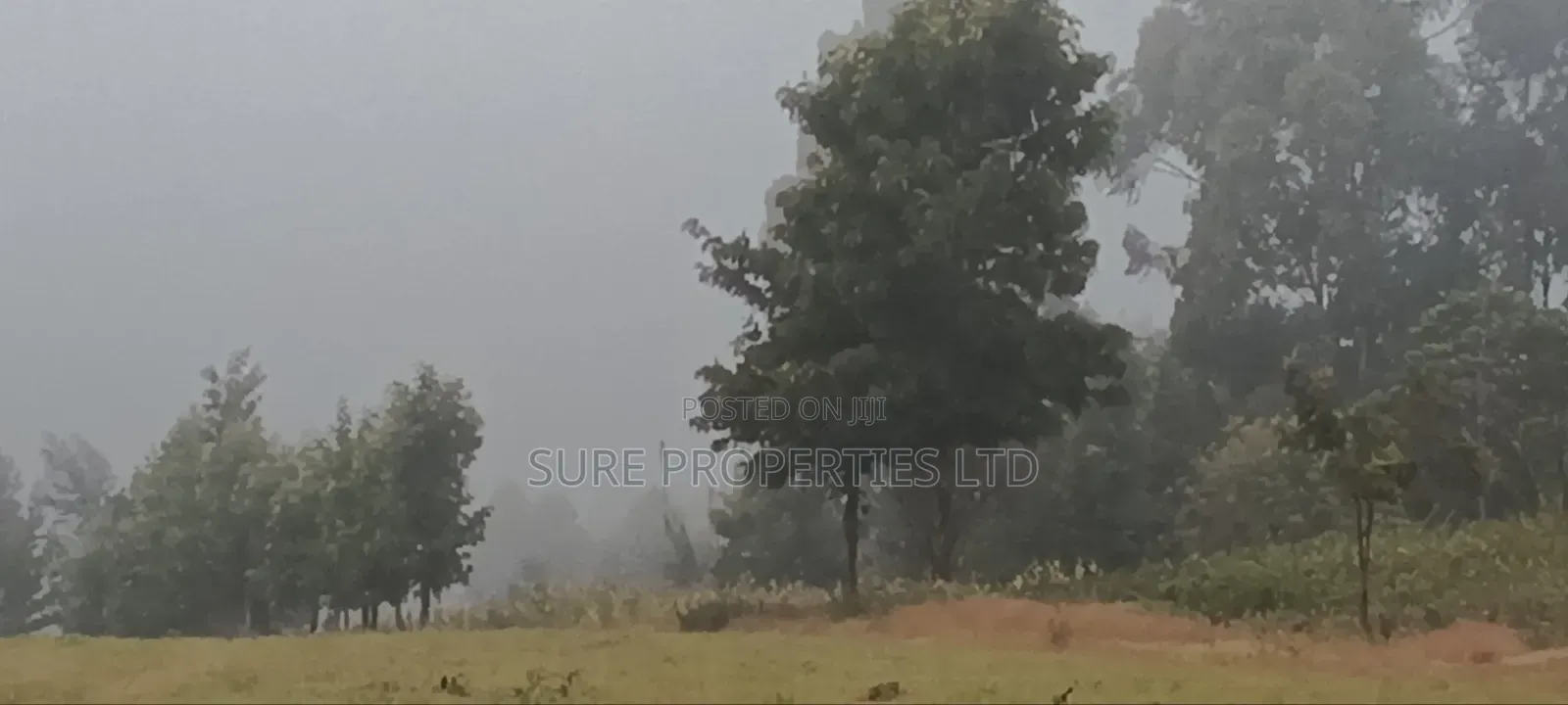 50x100 Plot in Thigio, Lusingetti