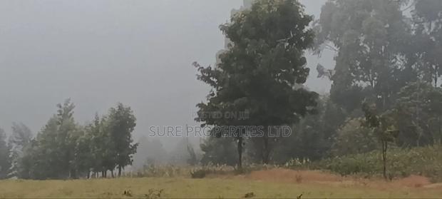 50x100 Plot in Thigio, Lusingetti - thumbnail 6