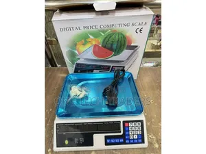 Digital Weighing Scale/Acs 40 Digital Armless Scale