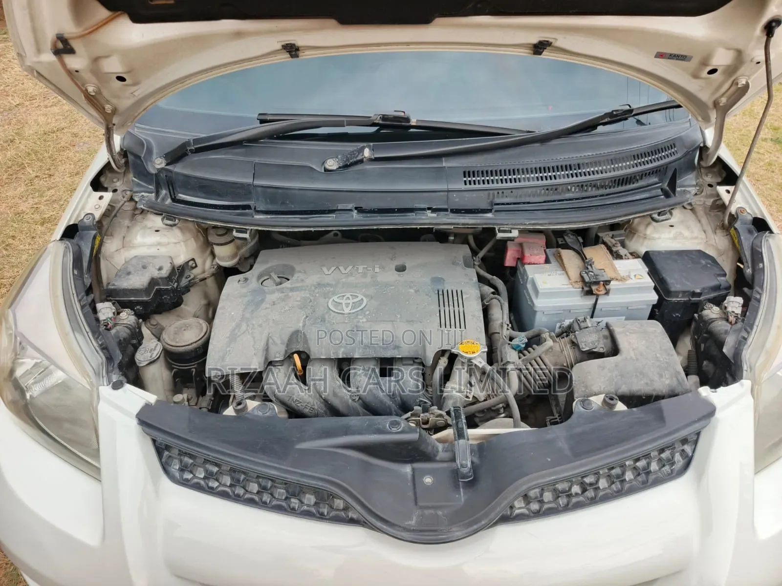Toyota IST 2011 White