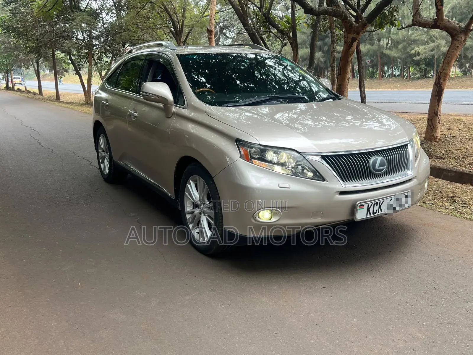 Lexus RX 2010 Gold