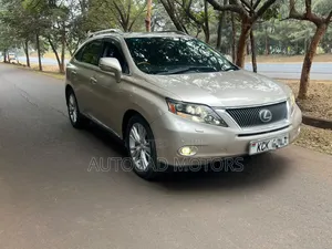 Lexus RX 2010 Gold