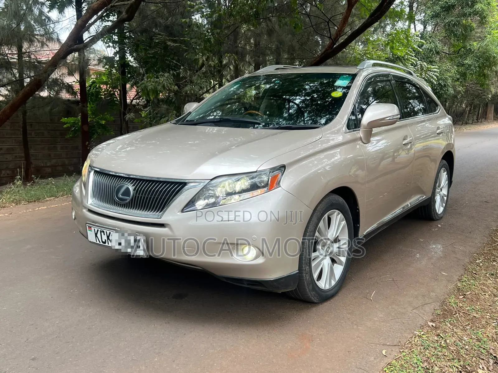 Lexus RX 2010 Gold