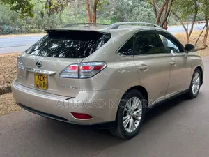 Lexus RX 2010 Gold