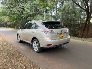 Lexus RX 2010 Gold