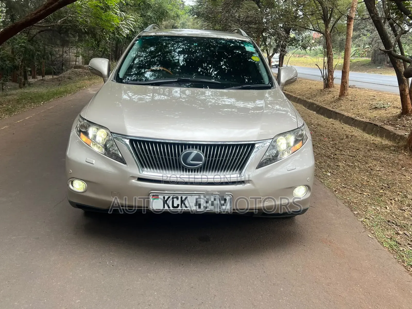 Lexus RX 2010 Gold
