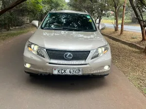 Lexus RX 2010 Gold