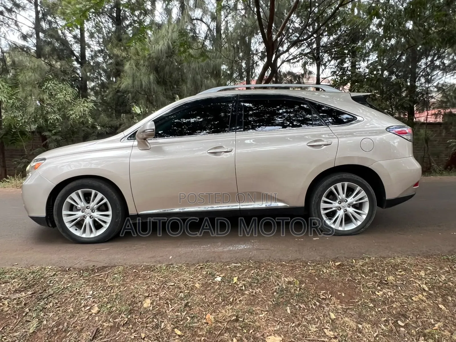 Lexus RX 2010 Gold