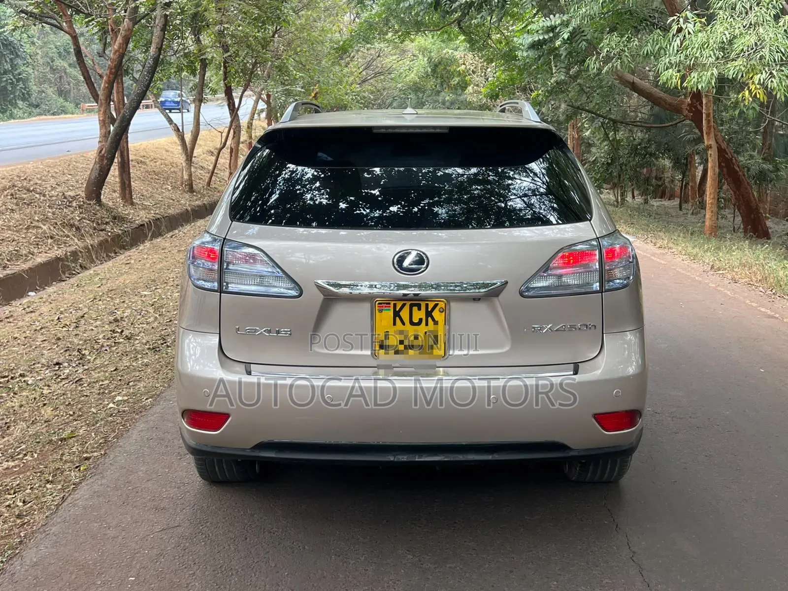 Lexus RX 2010 Gold