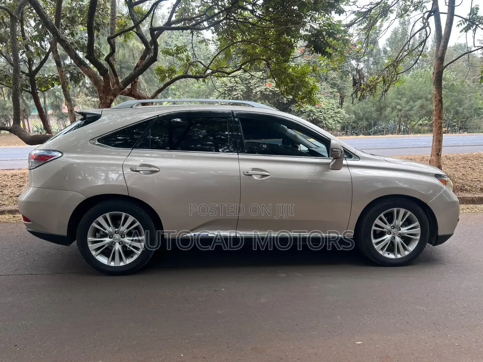 Lexus RX 2010 Gold