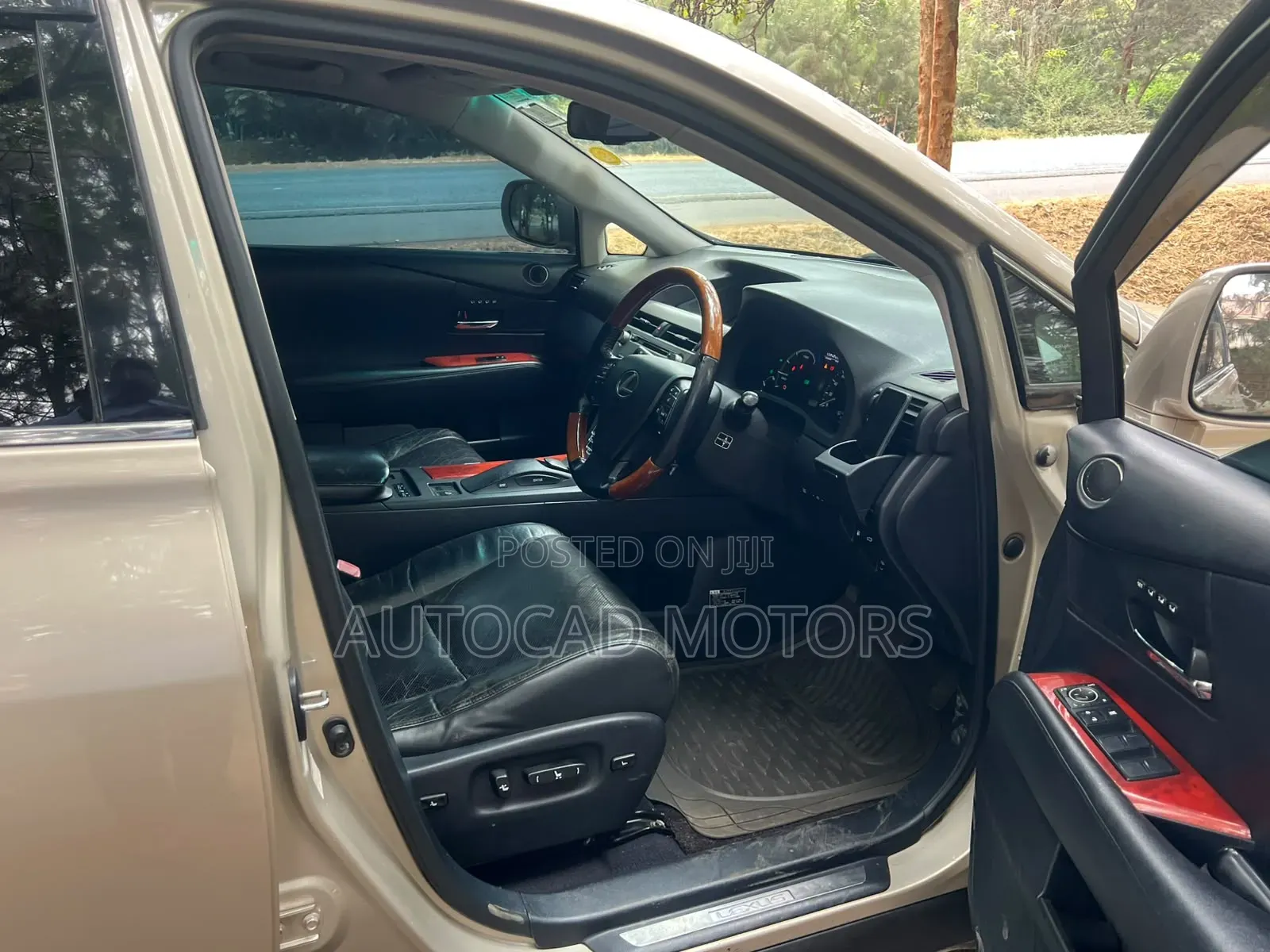 Lexus RX 2010 Gold