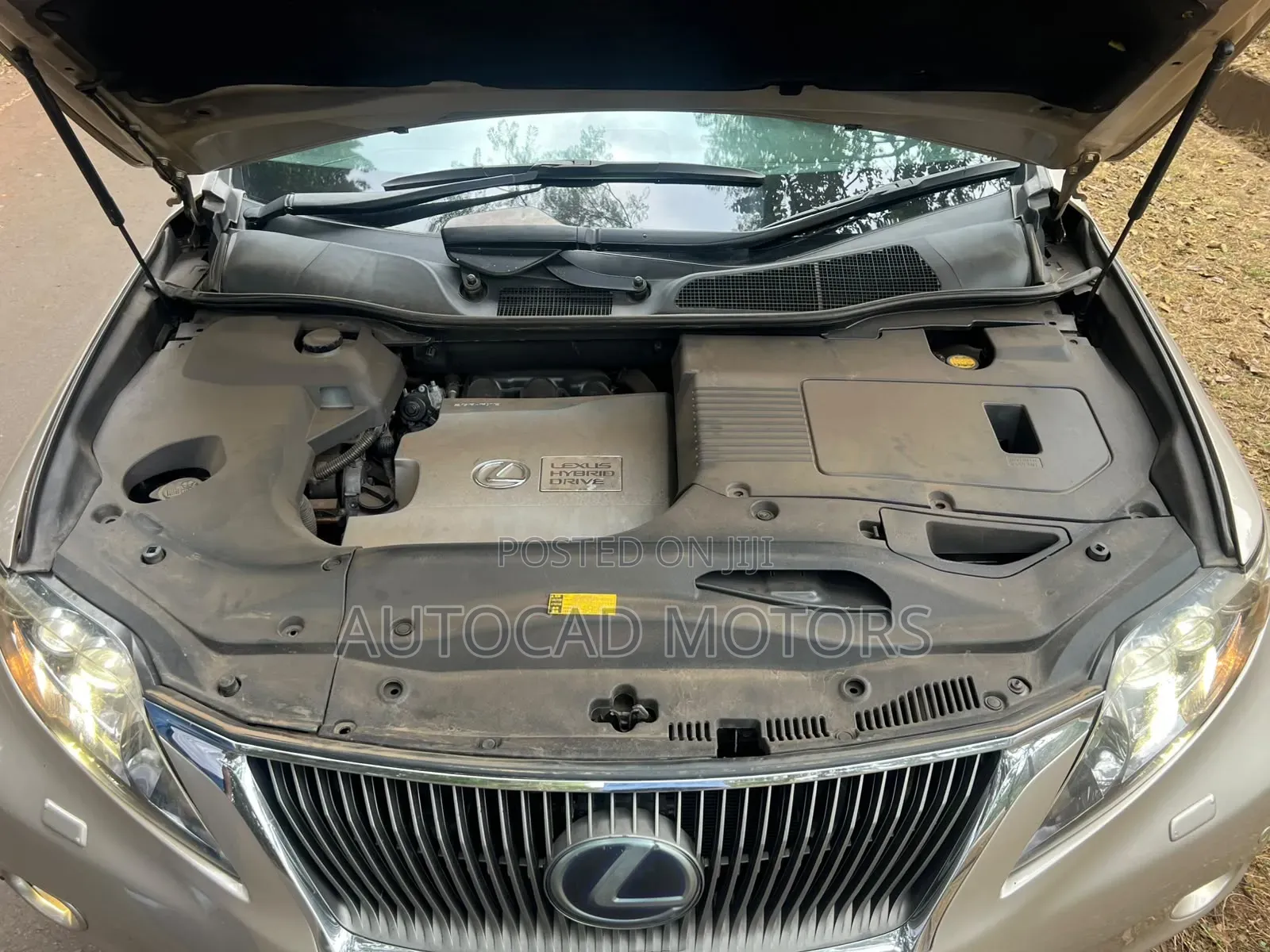 Lexus RX 2010 Gold