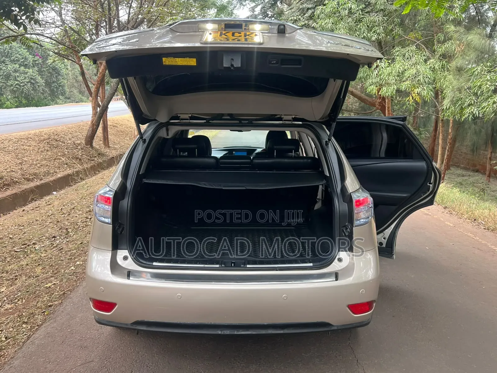 Lexus RX 2010 Gold