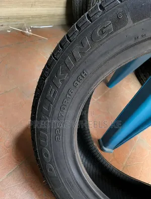 225/70r16 Double King Tires
