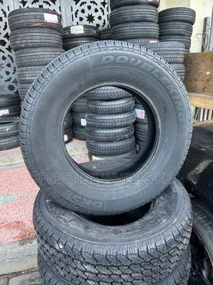225/70r16 Double King Tires