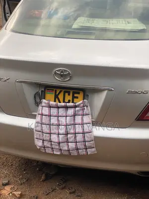 Toyota Mark X 2007 Silver