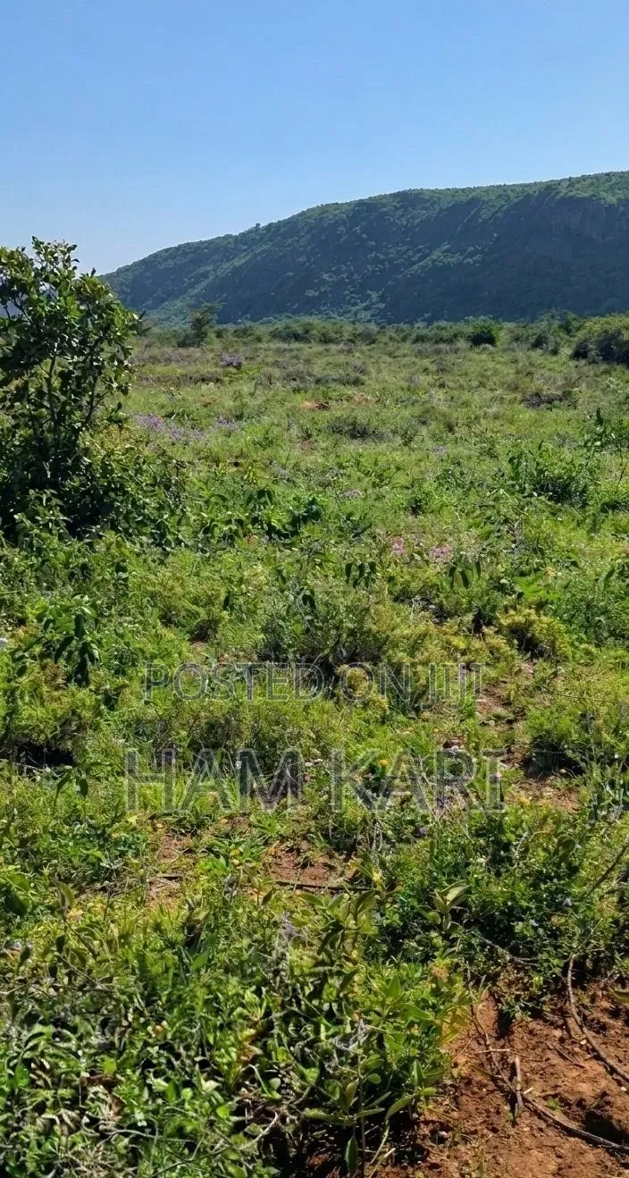 Land for Sell