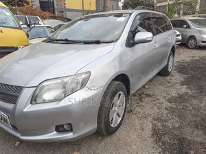 Toyota Corolla Fielder 2008 Silver
