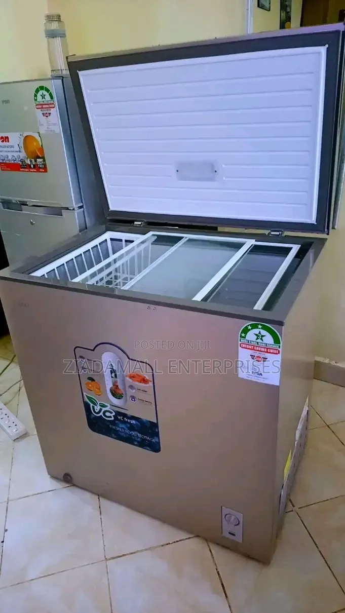 Low Power Consumption 219L Ecomax Freezer Availble. Deep Freezer