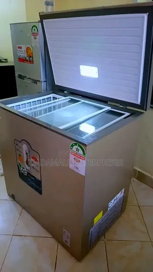 Low Power Consumption 219L Ecomax Freezer Availble. Deep Freezer
