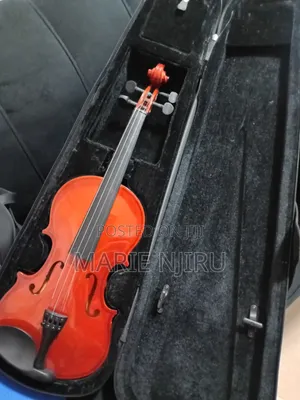 Beginner Coloured Acoustic Violin