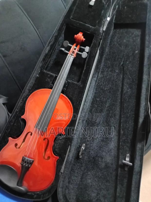 Beginner Coloured Acoustic Violin