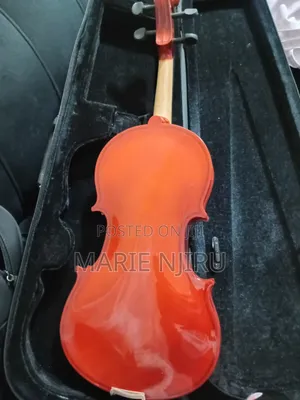 Beginner Coloured Acoustic Violin