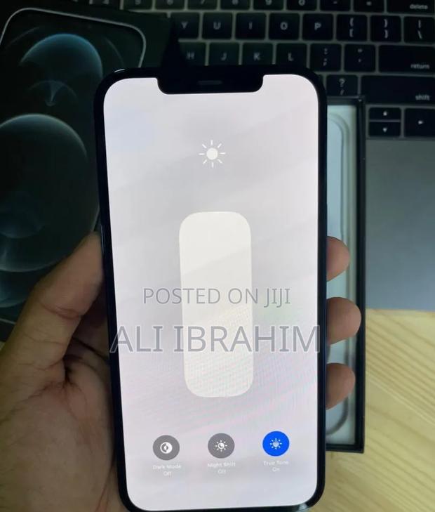Apple iPhone 12 Pro Max 256 GB Blue - thumbnail 4