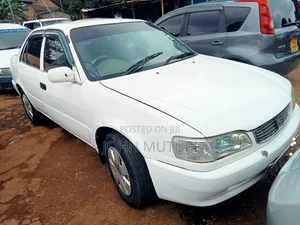 Toyota Corolla 1998 White