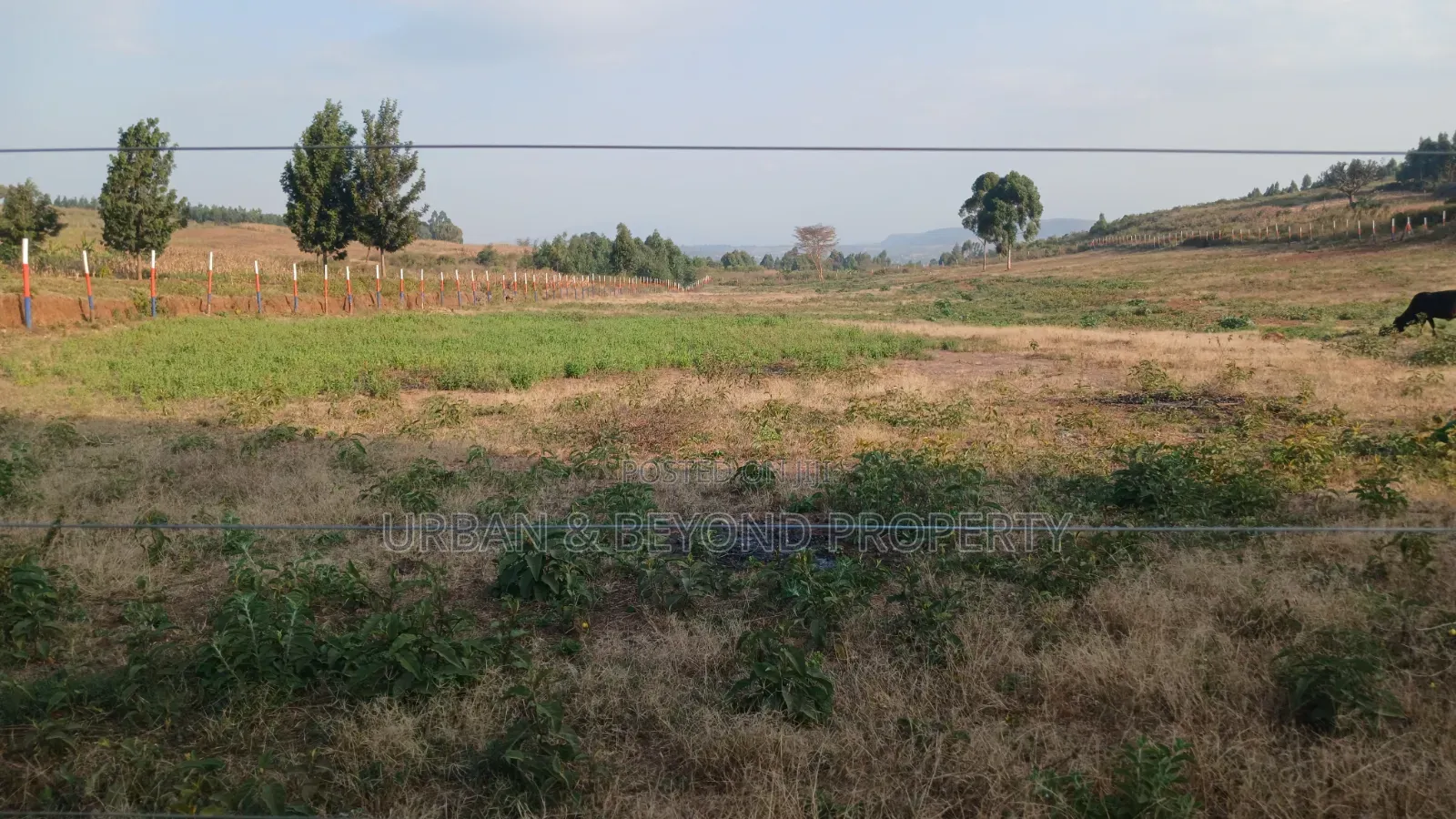 Prime( 50 by 100ft)Plots for Sale- In a Gated Estate Setup