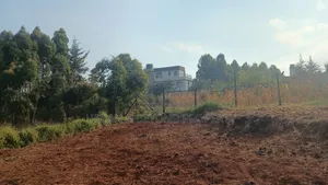 Prime( 50 by 100ft)Plots for Sale- In a Gated Estate Setup