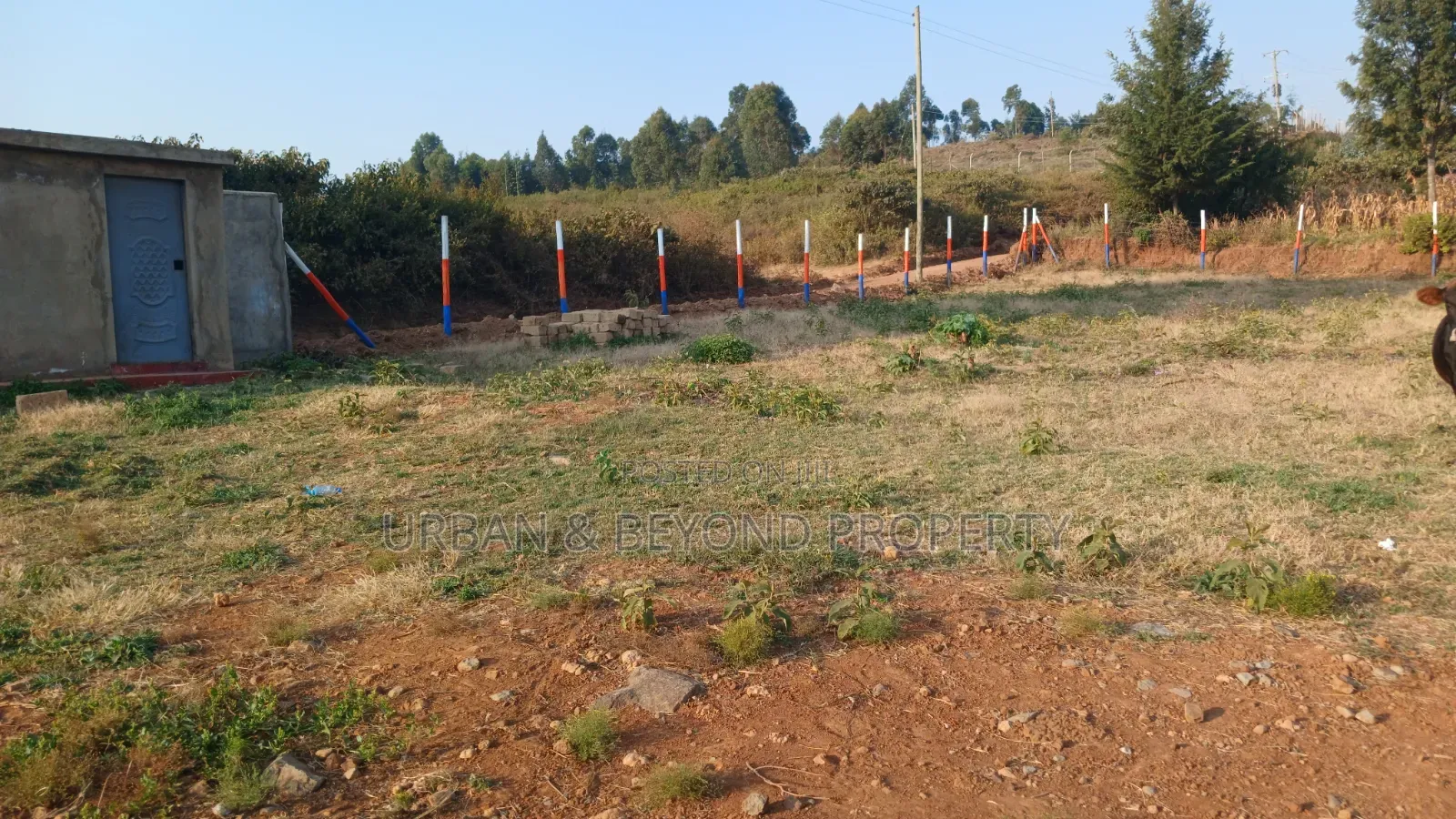 Prime( 50 by 100ft)Plots for Sale- In a Gated Estate Setup