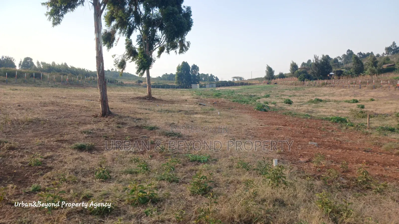Prime( 50 by 100ft)Plots for Sale- In a Gated Estate Setup