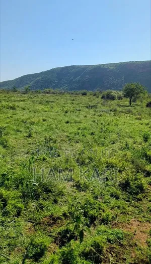 Land for Sell