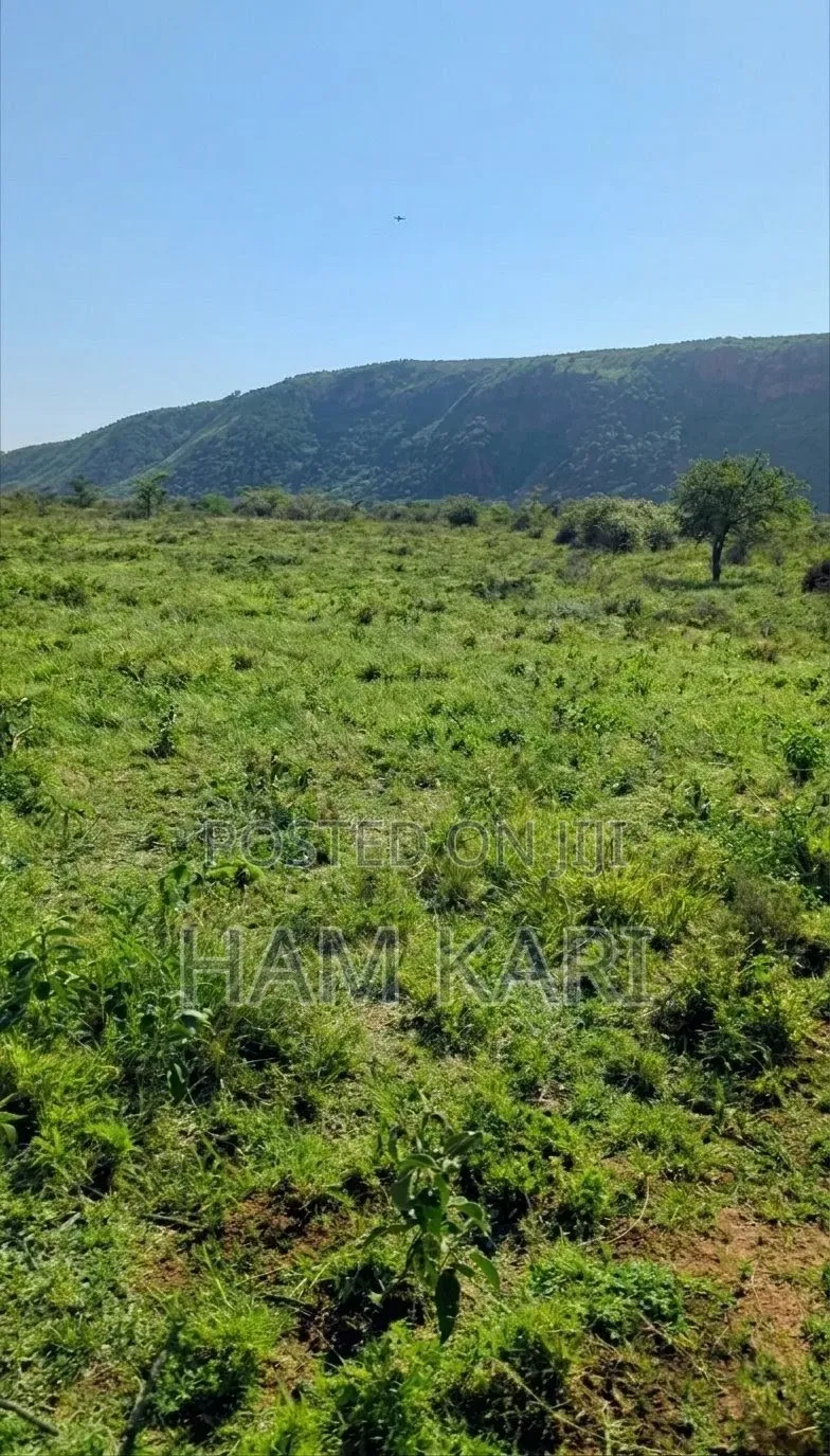 Land for Sell