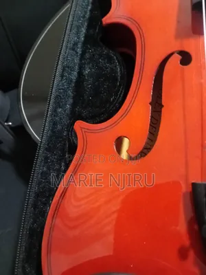 Beginner Coloured Acoustic Violin