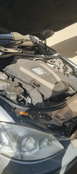 Mercedes-Benz S-Class 2009 Silver