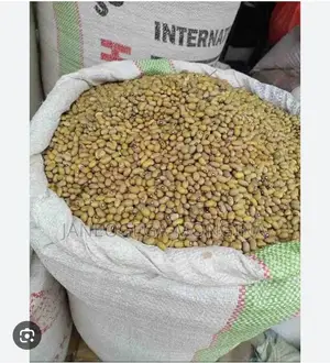 Yellow Beans