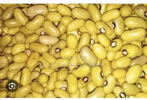 Yellow Beans