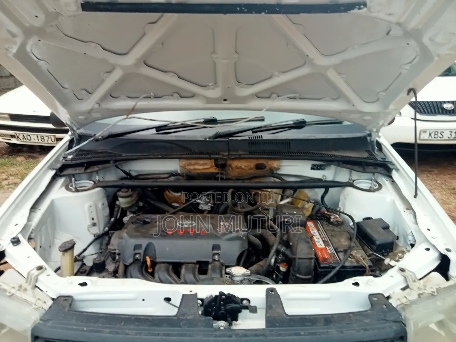 Toyota Probox 2010 White
