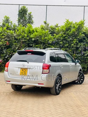 Toyota Corolla Fielder 2013 Silver