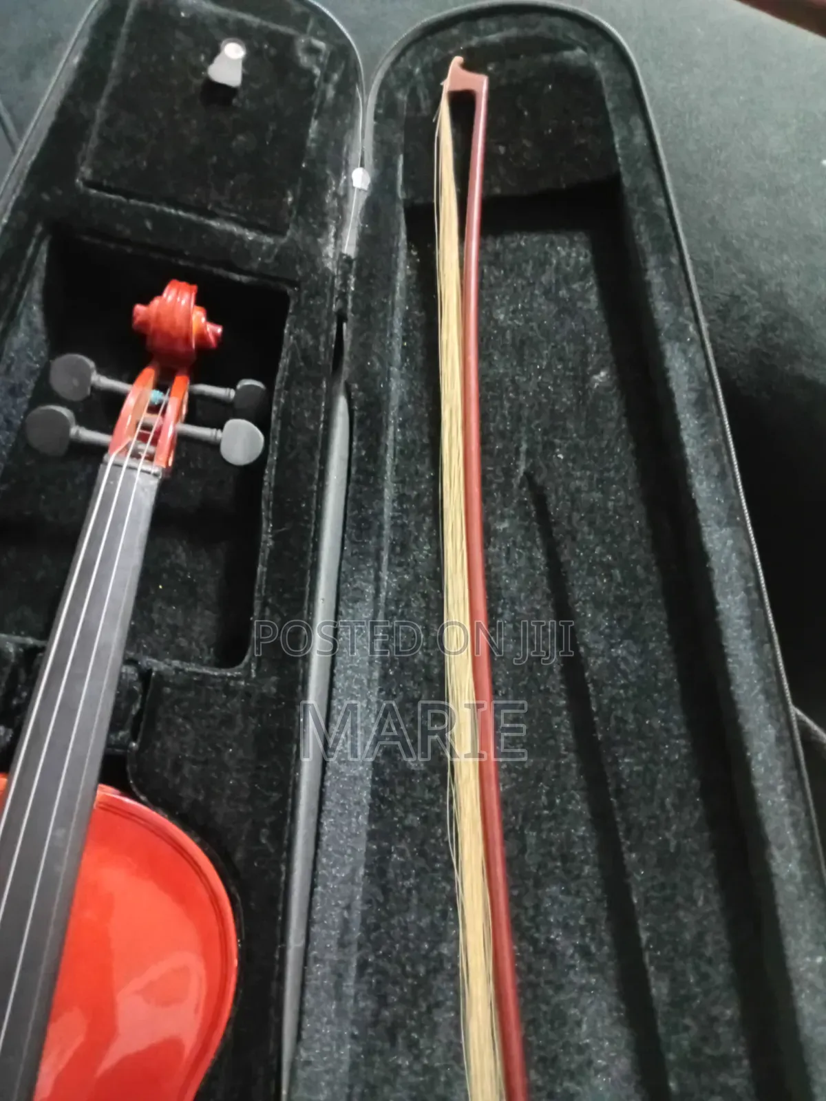 Beginner Coloured Acoustic Violin