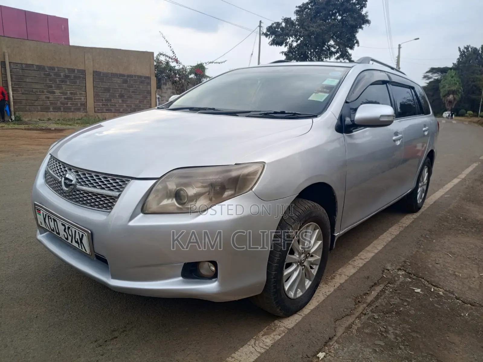 Toyota Corolla Fielder 2009 Silver