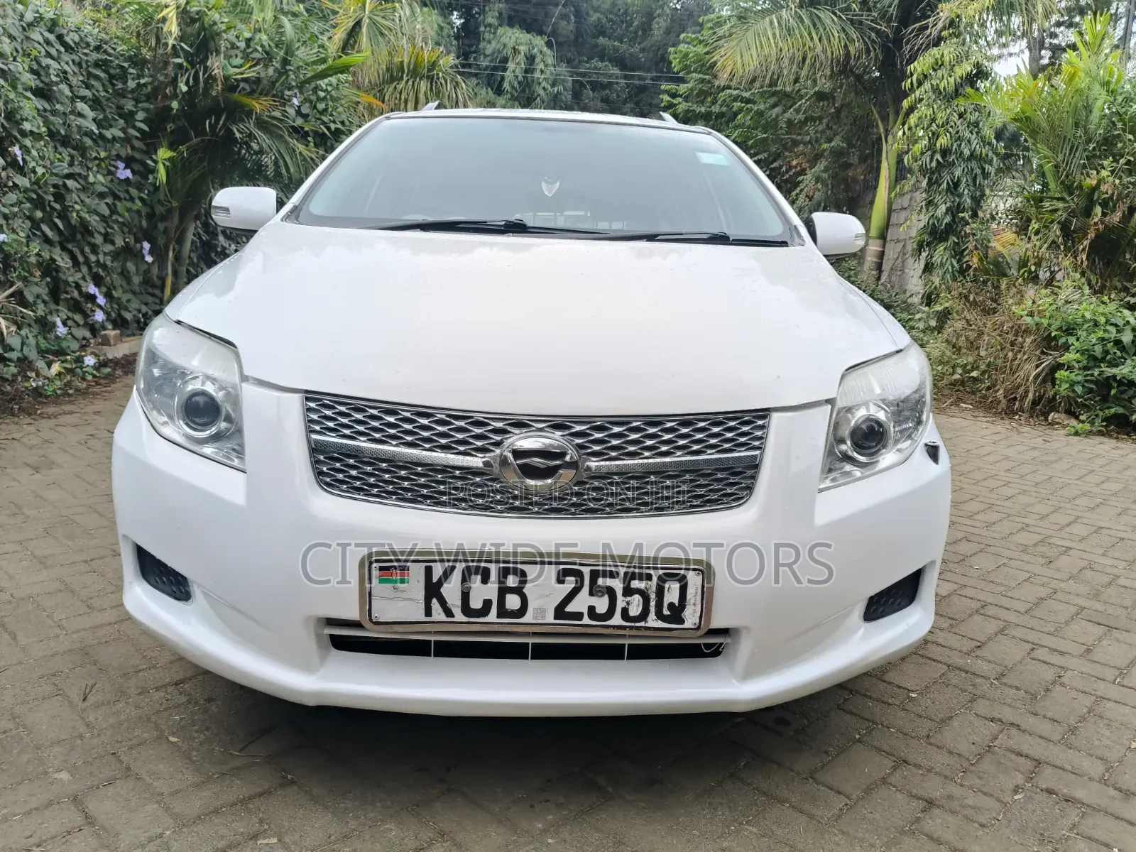 Toyota Corolla Fielder 2008 White