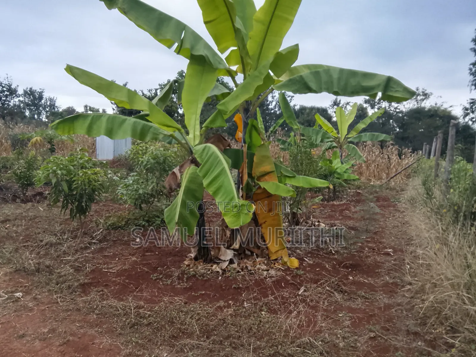 One Acre Land for Sale