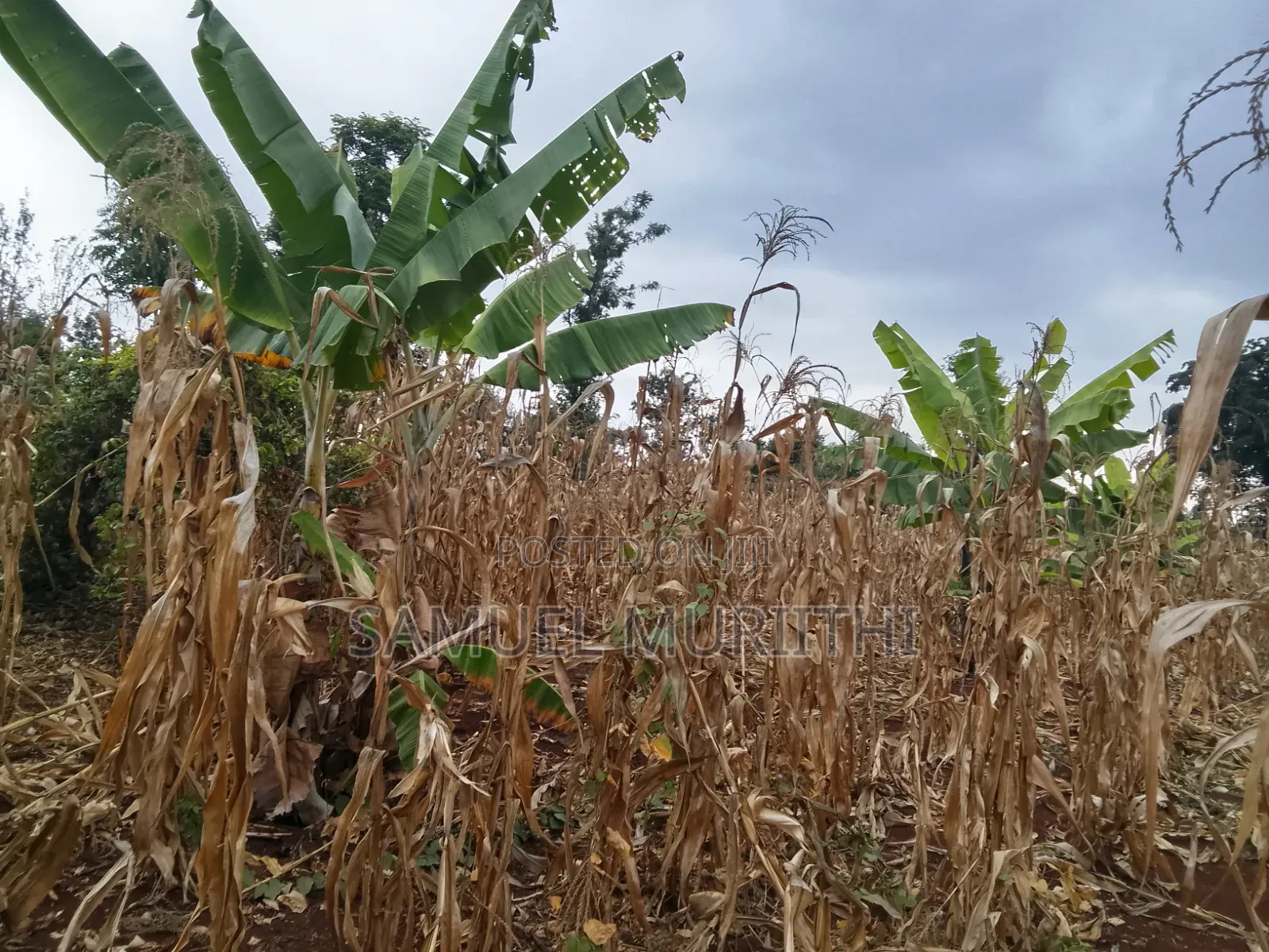 One Acre Land for Sale