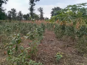 One Acre Land for Sale