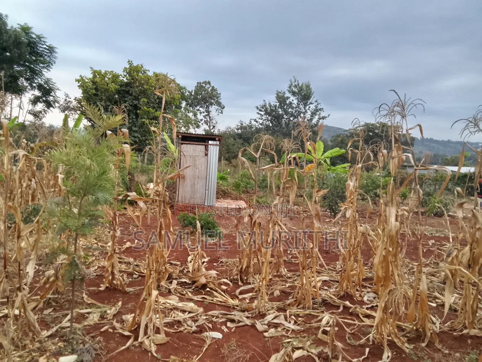 One Acre Land for Sale